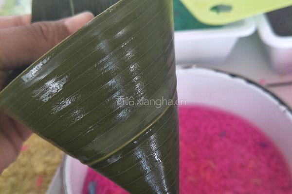 八色彩虹粽子的做法图解5