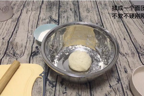 香葱猪肉水饺/锅贴的做法图解4