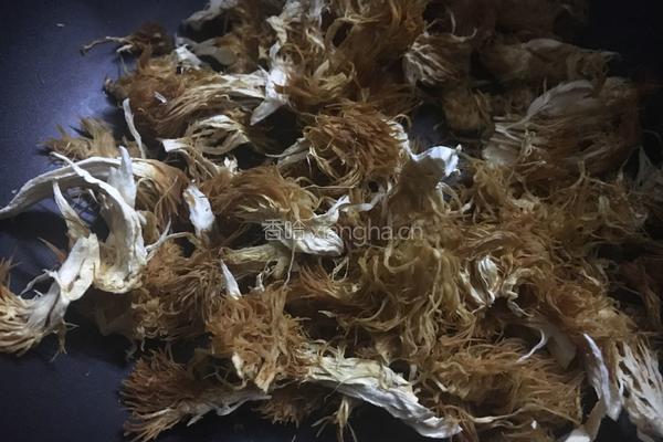 猴头菇山药养胃粥的做法图解2