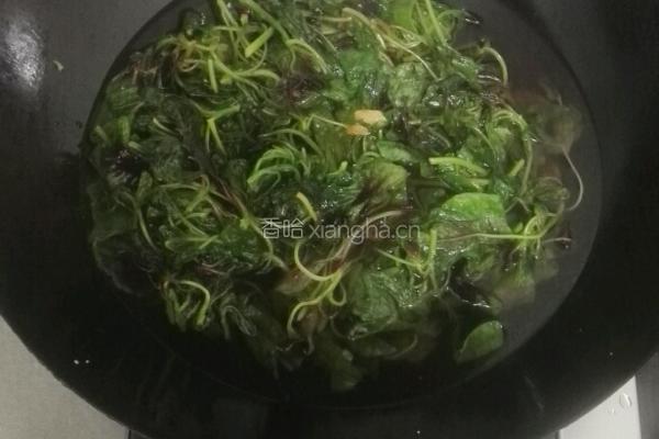 姜片苋菜的做法图解4