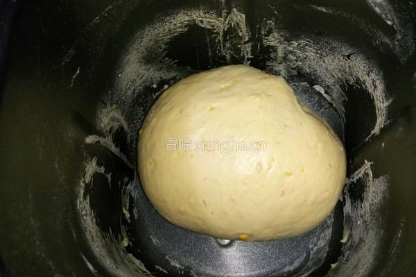 卡仕达香橙小餐包的做法图解9