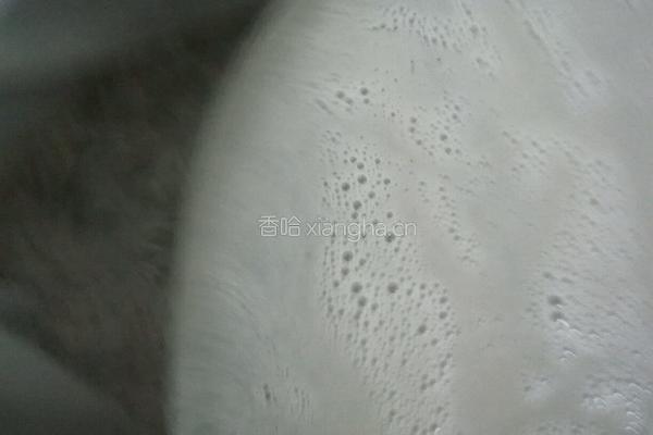 自制豆腐的做法图解4