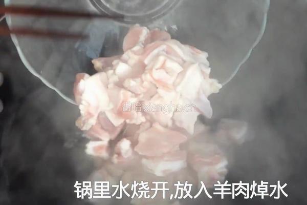 清炖羊肉的做法图解8