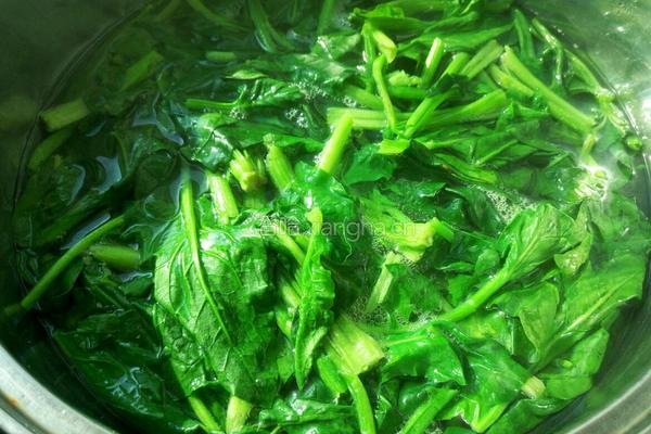 麻酱菠菜墩的做法图解9