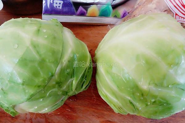 包菜披萨的做法图解1