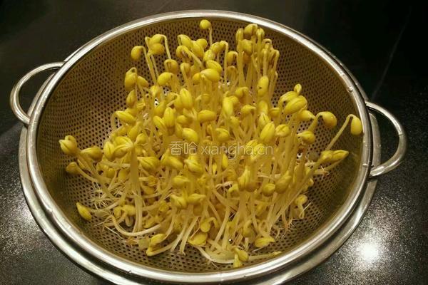 自发黄豆芽的做法图解11