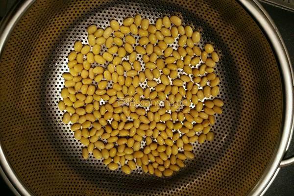 自发黄豆芽的做法图解5