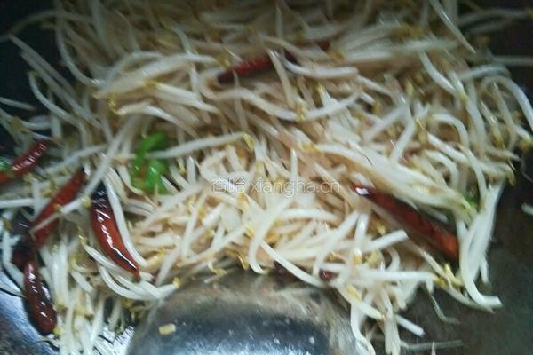 酸辣绿豆芽的做法图解5