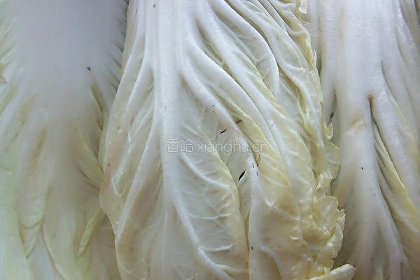 素菜干豆腐炖白菜片的做法图解3
