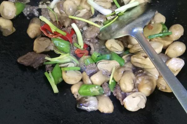 草菇牛肉的做法图解7