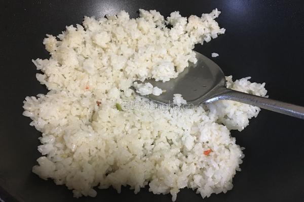 胖胖的香香炒饭的做法图解3