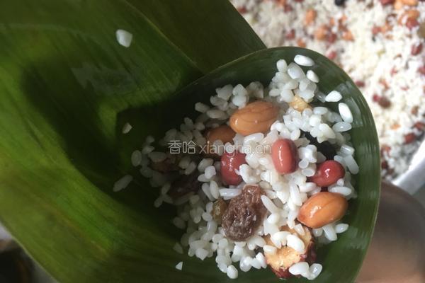 蜜枣粽子的做法图解4