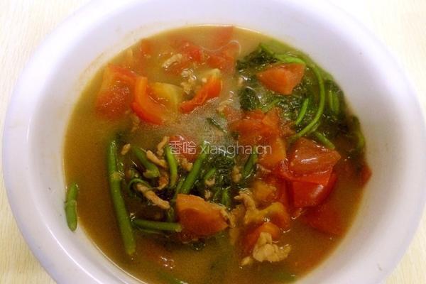 番茄西洋菜瘦肉汤的做法图解8