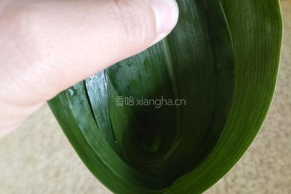 粽子的做法图解5