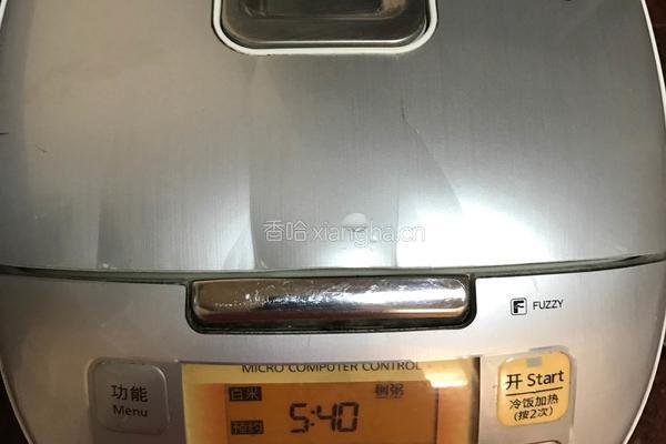 小米木瓜粥的做法图解4