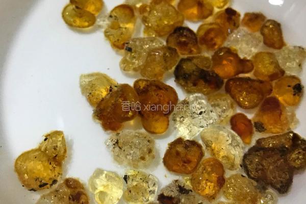 牛奶炖桃胶的做法图解1
