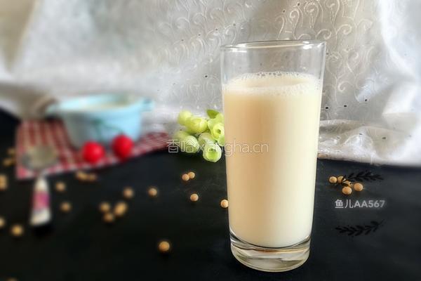 黄豆豆浆的做法图解6