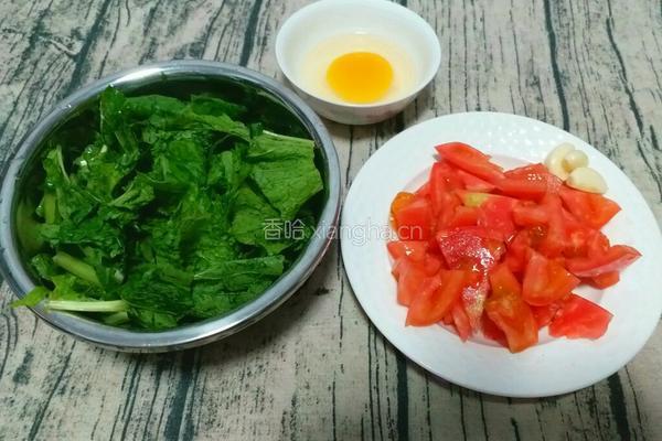 西红柿小白菜疙瘩汤的做法图解2
