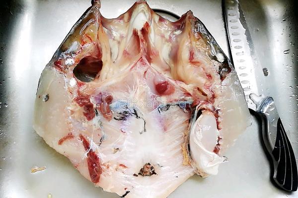 鱼头豆腐汤的做法图解1