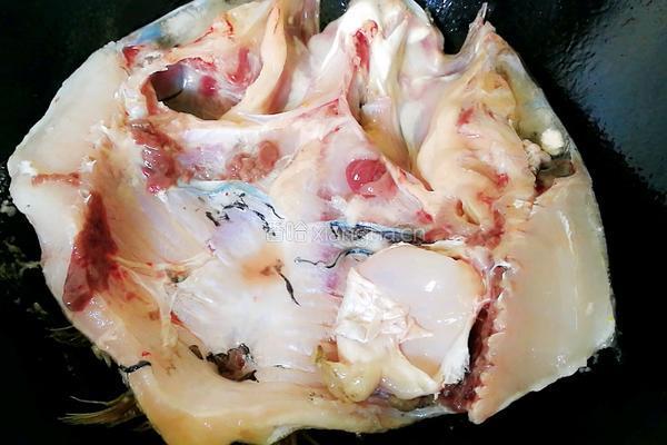 鱼头豆腐汤的做法图解4
