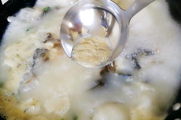 鱼头豆腐汤的做法图解8