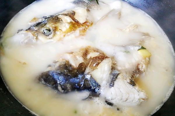 鱼头豆腐汤的做法图解10