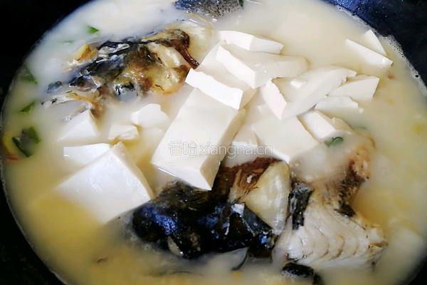 鱼头豆腐汤的做法图解11