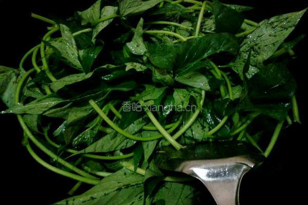 蒜蓉红薯叶的做法图解5