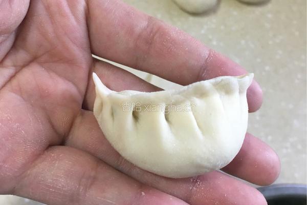 韭菜鸡蛋饺子的做法图解9