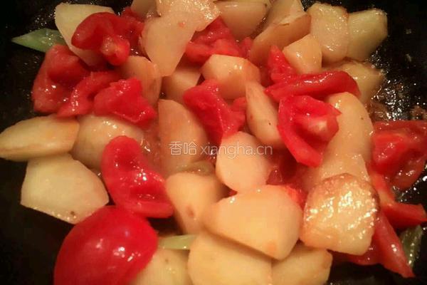 西红柿土豆炖牛肉的做法图解17