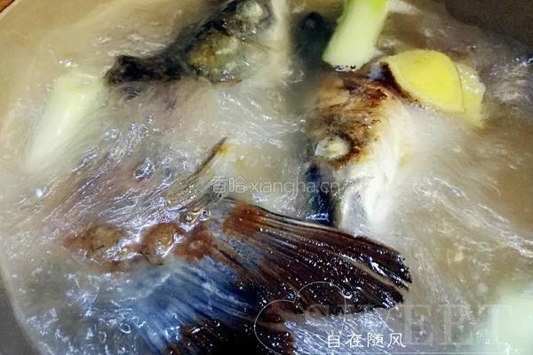 鱼头豆腐汤的做法图解4