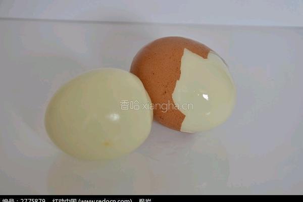 塑形营养餐3的做法图解2