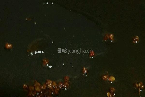 川味飘香踏板鱼的做法图解9