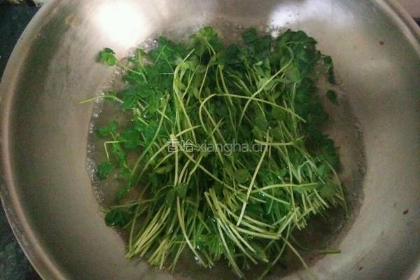 琥珀核桃豌豆苗的做法图解2