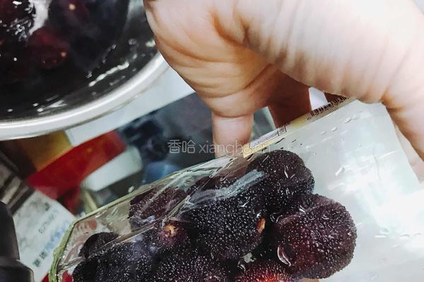 杨梅酒的做法图解2
