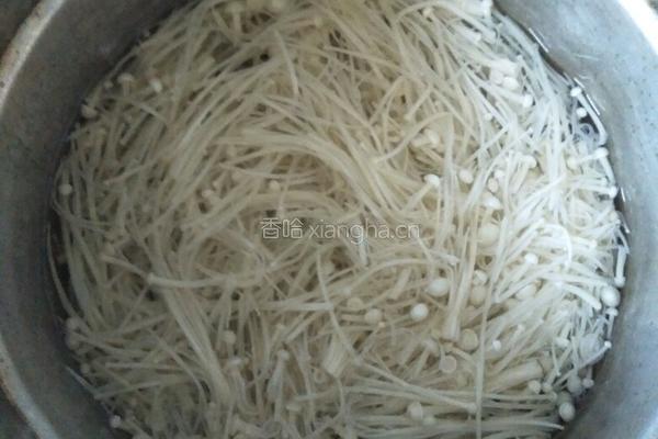 油泼金针菇的做法图解4