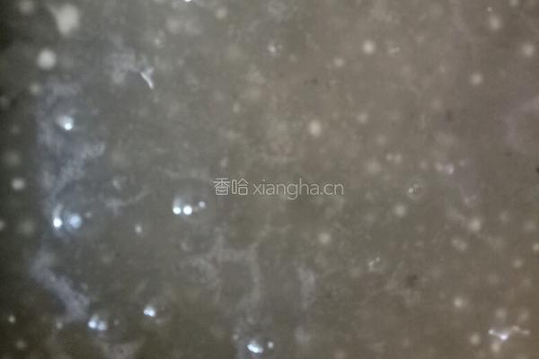 荔枝西米露的做法图解3