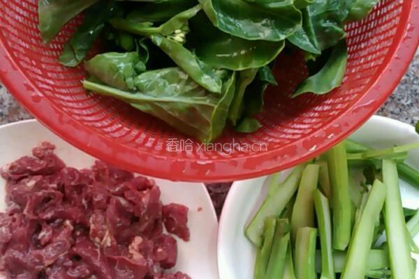 芥兰炒牛肉的做法图解4