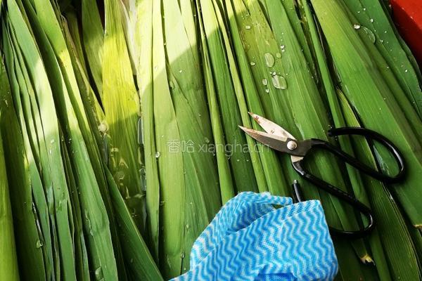绿豆肉香棕的做法图解1