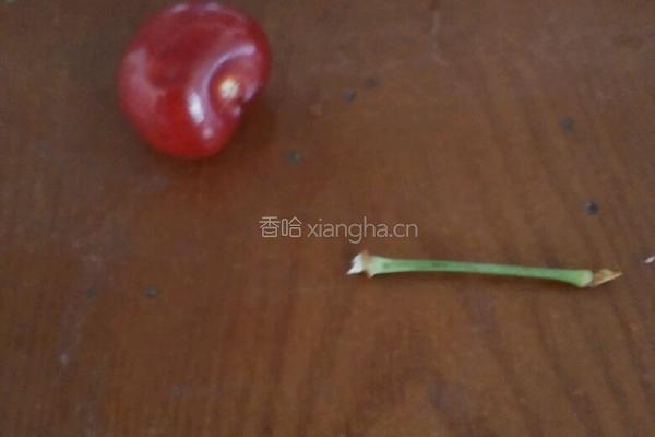 樱桃的正确吃法的做法图解2