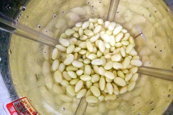 黄豆豆浆的做法图解4