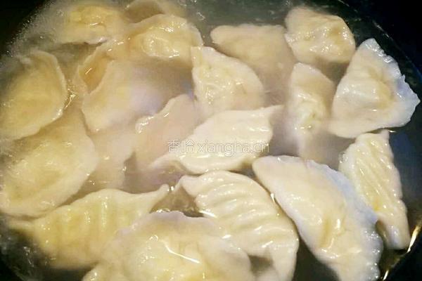 黄瓜鸡蛋素馅饺子的做法图解23