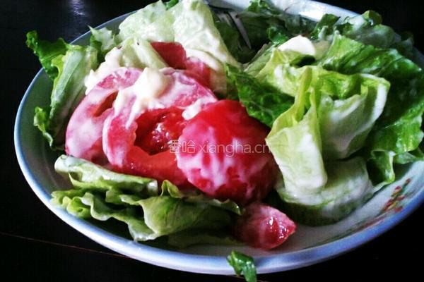 蔬菜沙拉的做法图解7