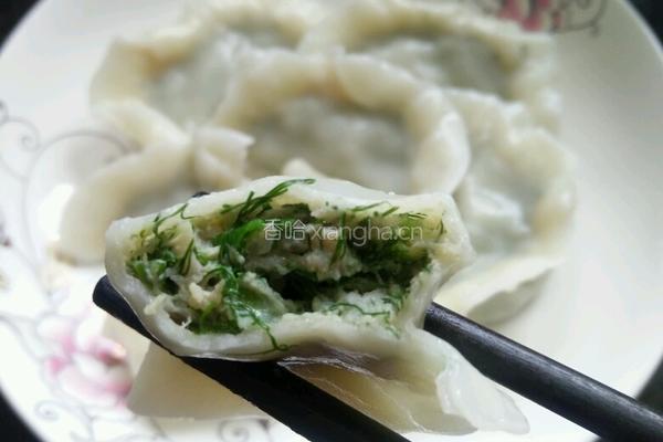 茴香馅饺子的做法图解6