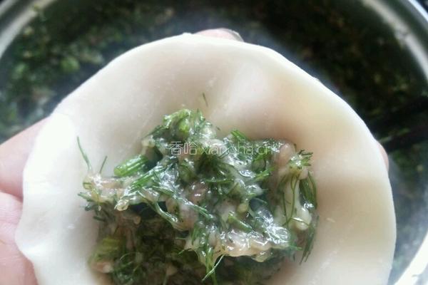 茴香馅饺子的做法图解5