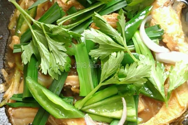 煎焖鲩鱼腩的做法图解17