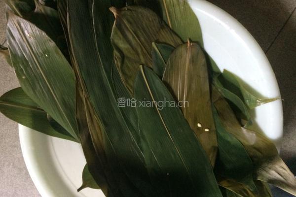 鲜肉粽的做法图解4