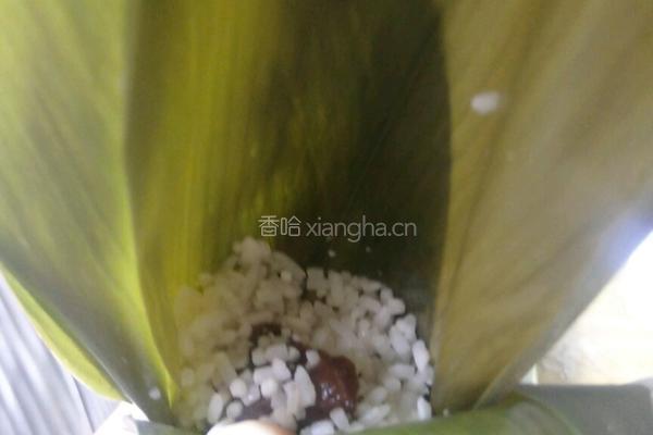 咸肉粽的做法图解12