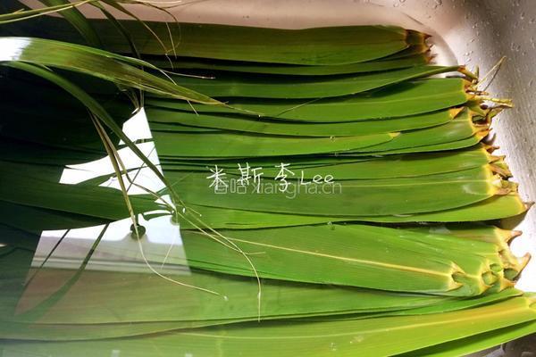 原味糯米粽的做法图解3