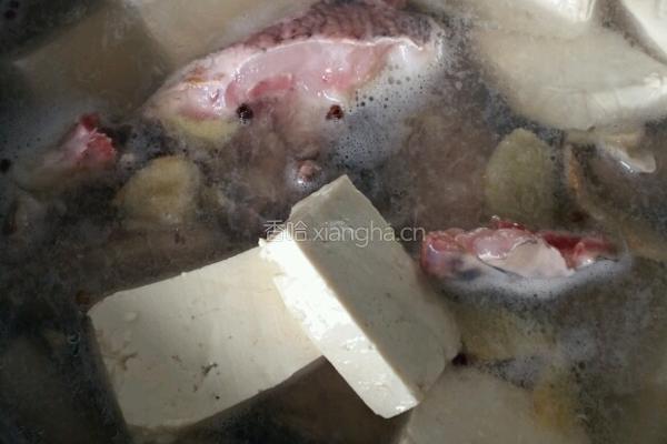 鱼头豆腐的做法图解4